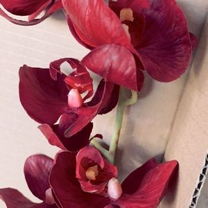 QUALITY WHOLESALE 30” Maroon Red Phaelonopsis Orchid Stem Artificial Flower